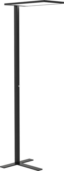 Schwarz