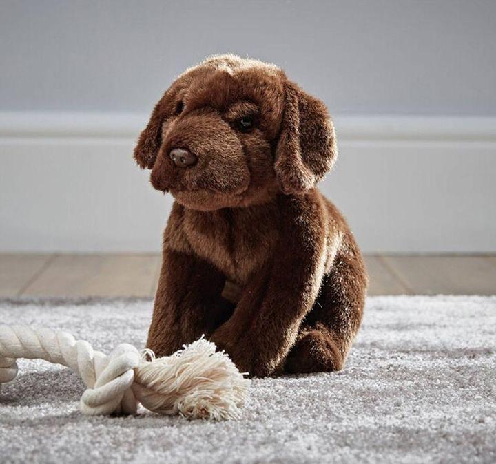 Produktbild Living Nature Schoko Labrador (20 cm)