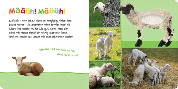 Produktbild Hör mal rein, wer kann das sein? - Im Frühling (Deutsch, 2021)