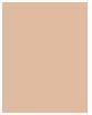 Image du produit Rimmel London Kind & Free Glow It Up Moisturising Skin Tint (001 Porcelaine équitable)