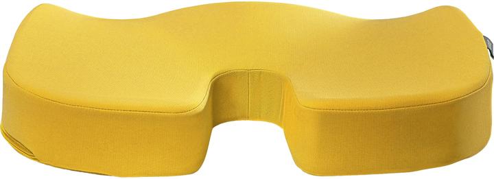 Actual product image Leitz Seat Cushion Ergo Cosy (45.5 x 35.5 cm)