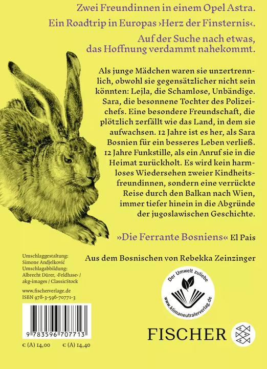 Produktbild Fang den Hasen (Deutsch, Rebekka Zeinzinger, Lana Bastašić, 2023)