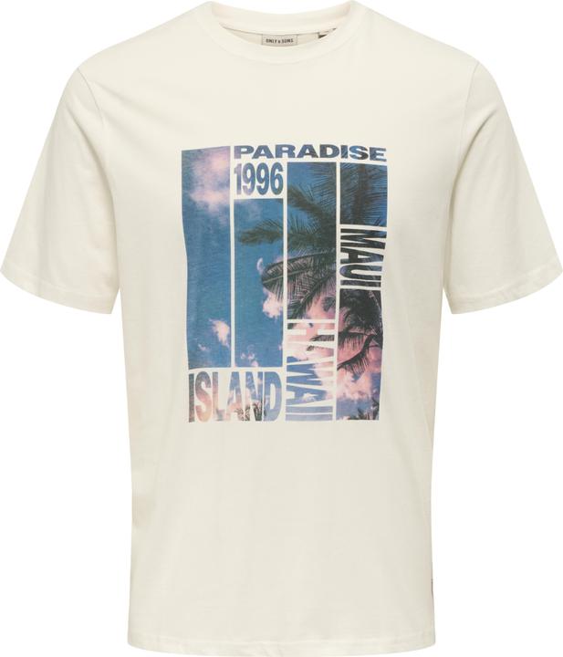 Only & Sons T-Shirt Magdy Life Kurzarmshirt (S)