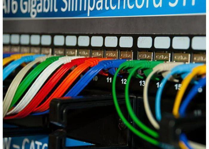 Actual product image Wirewin Network cable (UTP, CAT6, 0.50 m)