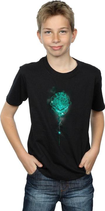 Produktbild Hogwarts Crest Mist TShirt Jungen (152, 158)