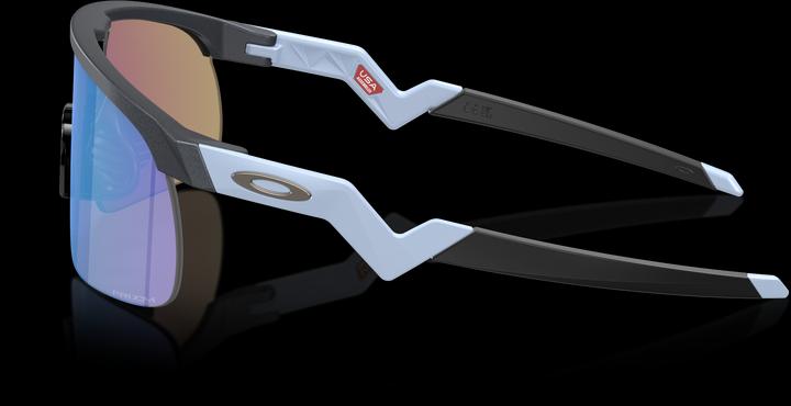 Actual product image Oakley Resistor (Blue Steele, Prizm Sapphire)