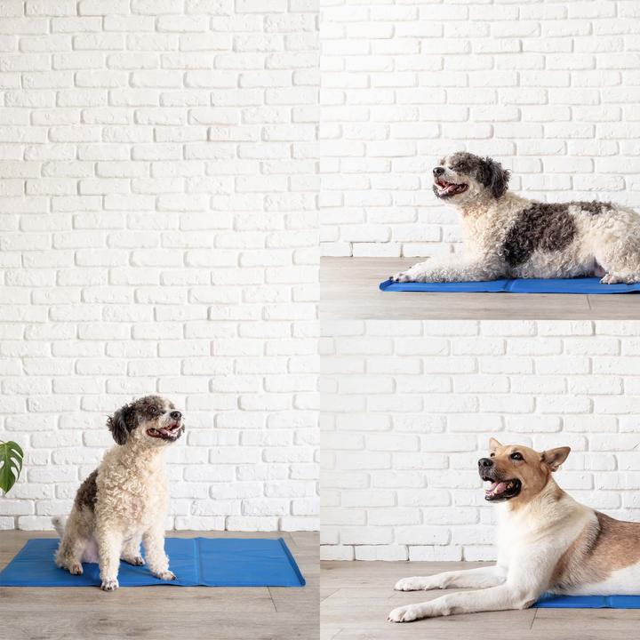 Actual product image Fudajo Kühlmatte (Dog, Cat)