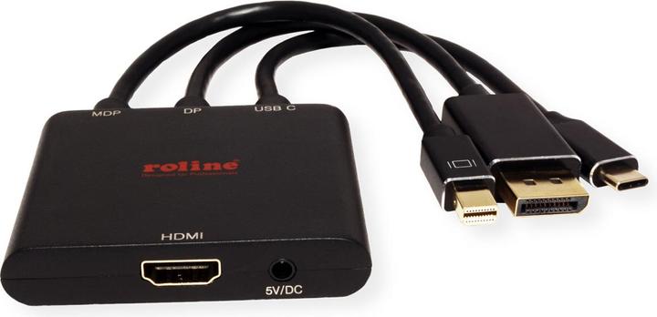 Produktbild Roline Adapterkabel Mini DisplayPort / DisplayPort / Typ C (HDMI, 15 cm)