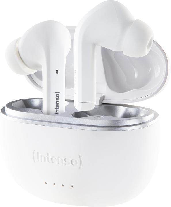 Image du produit Intenso Bourgeons blancs T302A (ANC, 2 h, Filaire)
