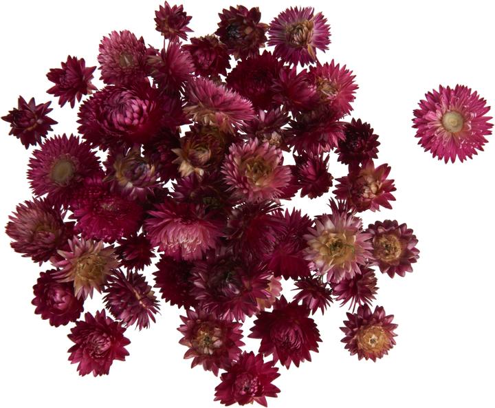 Produktbild VBS Strohblumenköpfe, ca. 20 - 30 g