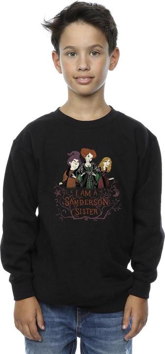Produktbild Disney Hocus Pocus Sanderson Sister Sweatshirt Jungen (104)