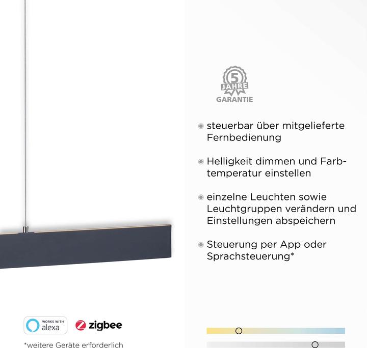 Produktbild Paul Neuhaus LED-Pendelleuchte 2548-13 anthrazit, 34 W, 4080 lm (4080 lm)