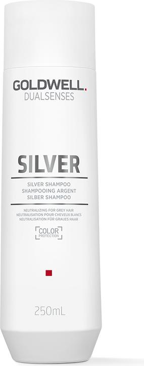 Goldwell Dualsenses Silver Shampoo (250 ml, Liquid shampoo)