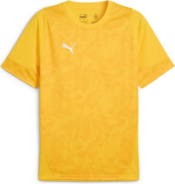 Puma teamCUP Training Jersey