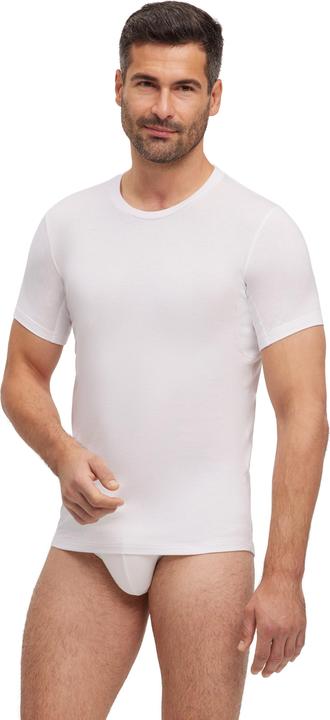 Falke Herren (XL)
