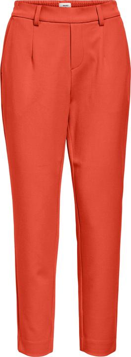 Object OBJLISA Hose (36)
