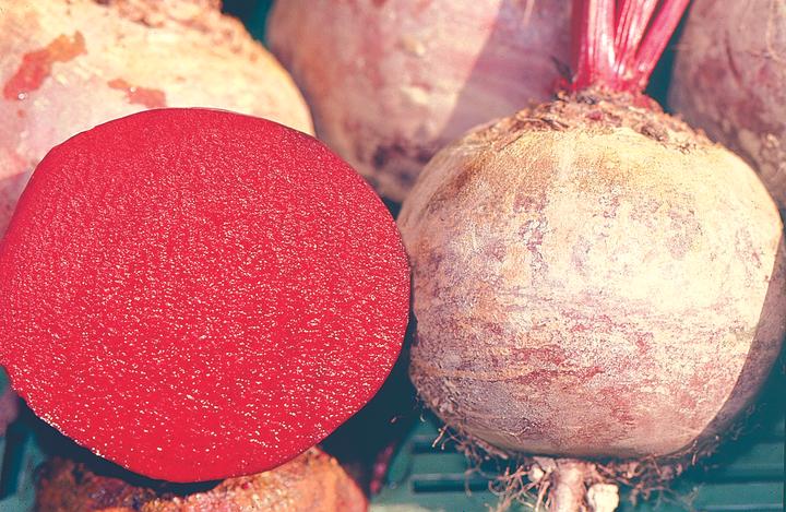 Produktbild Zollinger Bio Randen, Rote Kugel