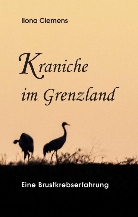 Actual product image Kraniche im Grenzland (Ilona Clemens, 2021)