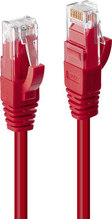 Produktbild Lindy Netzwerkkabel (UTP, CAT6, 0.50 m)