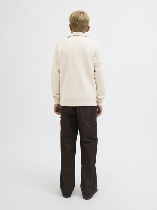 Actual product image Jack & Jones Jjesoho Sweat Quarter Zip Hn Noos Jnr (176)