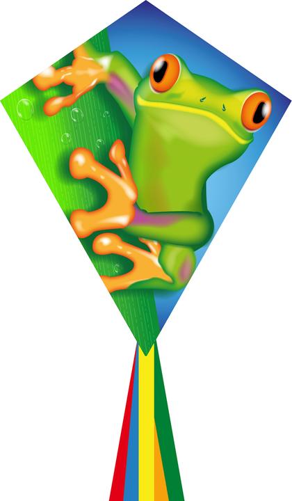 Actual product image Invento Children kite Eddy Froggy