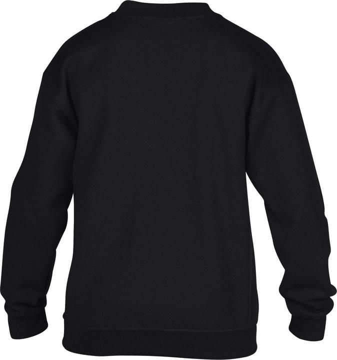 Produktbild Gildan Sweatshirt Rundhalsausschnitt (116)