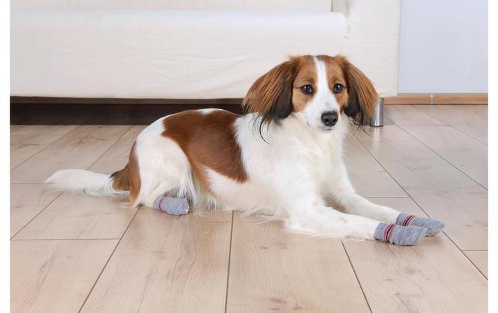 Image du produit Trixie Chaussettes pour chiens (M, L, Chaussettes pour chien)