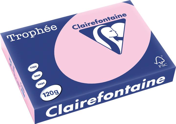Produktbild Clairefontaine Universalpapier, farbig (120 g/m², 250 x, A4)
