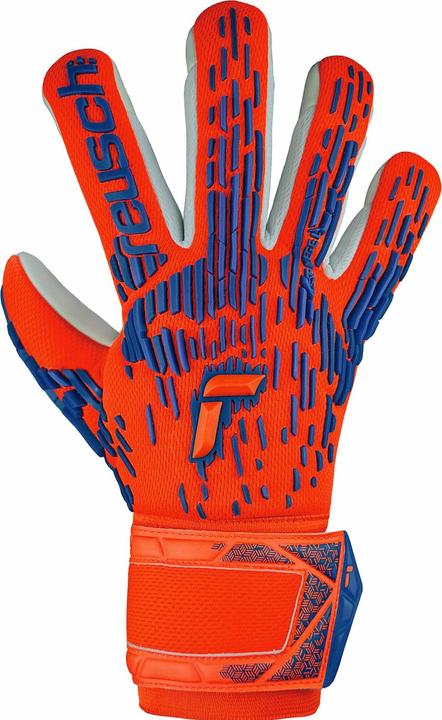 Reusch torwarthandschuhe attrakt freegel silver (8)