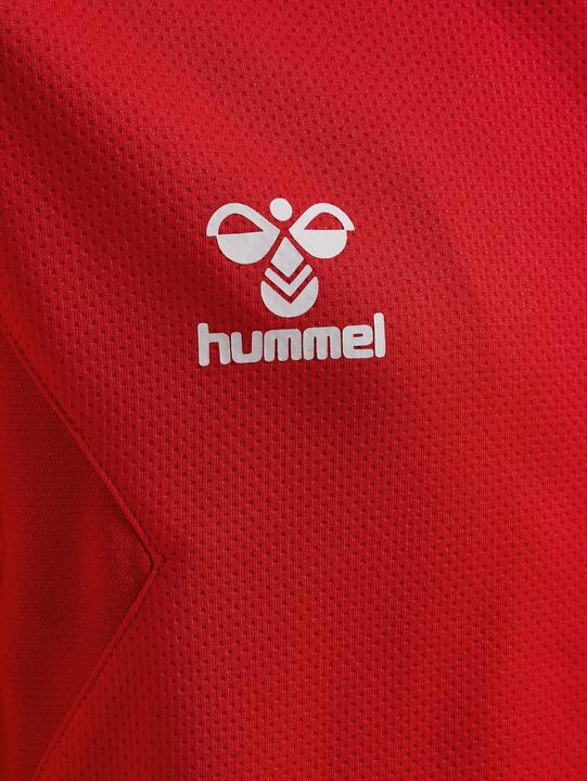 Produktbild hummel Hmlauthentic Pl Zip Hoodie Kids (140)