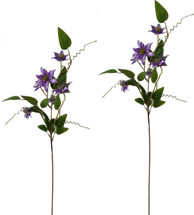 NTK-Collection Clematis Lila 2er Set 89 cm (89 cm)