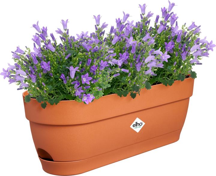 Actual product image Elho Balcony Box Vibia Campana 49x18.2x17 cm (18.20 cm)