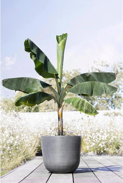 Immagine prodotto Ecopots Oslo (45 cm)