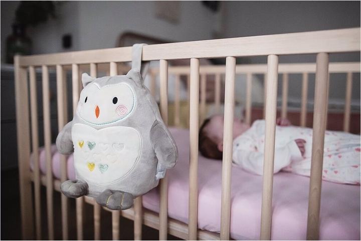 Image du produit Tommee Tippee Ollie le hibou