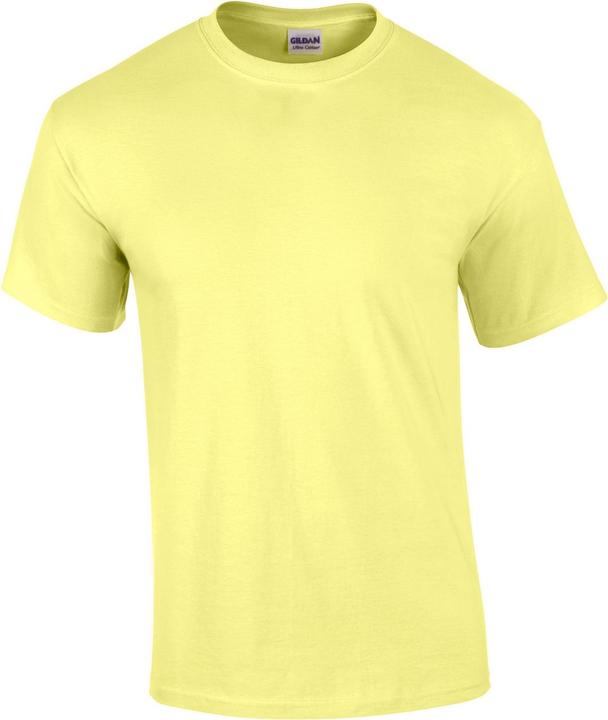 Gildan TShirt (S)