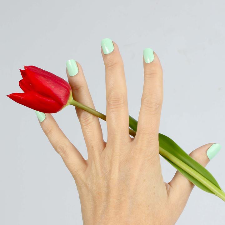 Image du produit Vargu vert solide (Vert solide Vert)