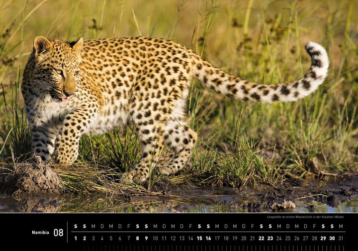Produktbild Namibia Premiumkalender 2026 (50 x 35 cm, Harter Einband, Deutsch)