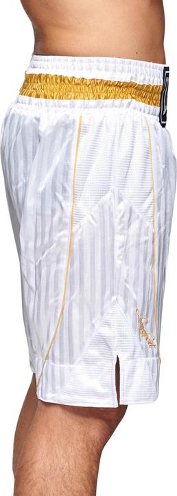 Produktbild Leone Premium Boxhose AB240 (M)