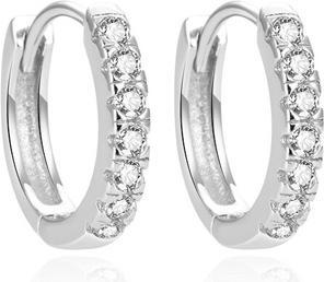 Beneto Charming silver earrings with zircons AGUC1664