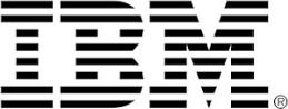 Actual product image IBM Half High Multi Burner