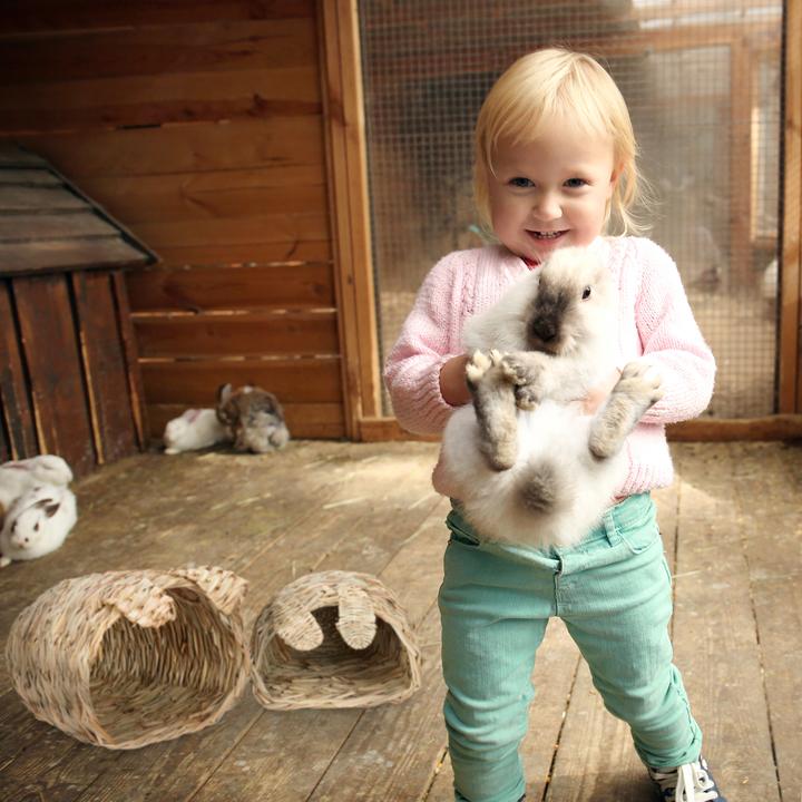 Produktbild Relaxdays Kaninchenhaus Zubehör