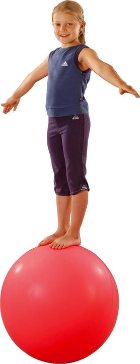 Sport-Thieme Balance-Kugel