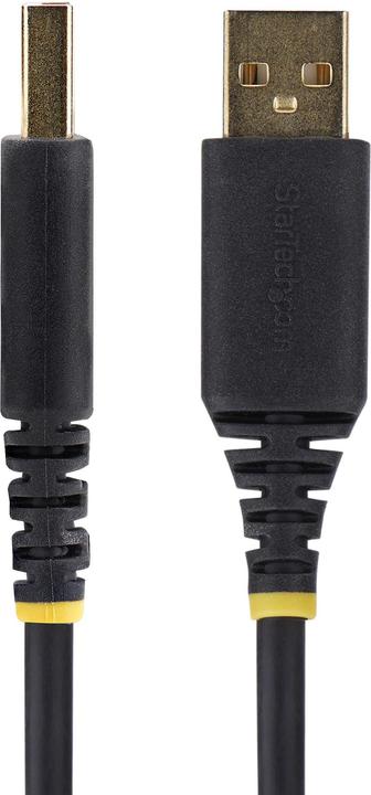 Image du produit StarTech COM 3m USB vers série Adaptateur COM Rétention FTDI USB-A vers DB9 Câble USB RS232 Interchangeable (3 m)