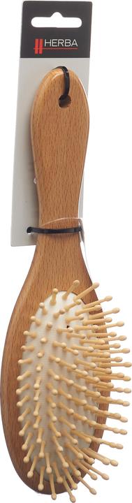 Herba Buchenholz