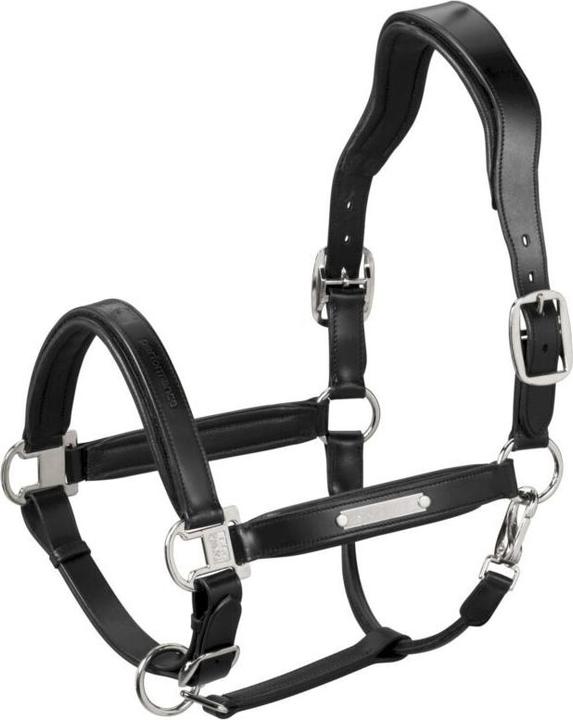 Immagine prodotto Eskadron Stallion