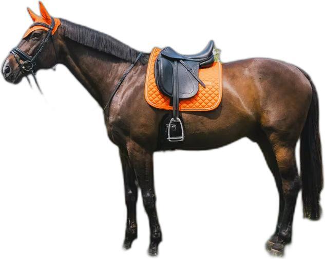 Actual product image Kentucky Horsewear Diamond Rope