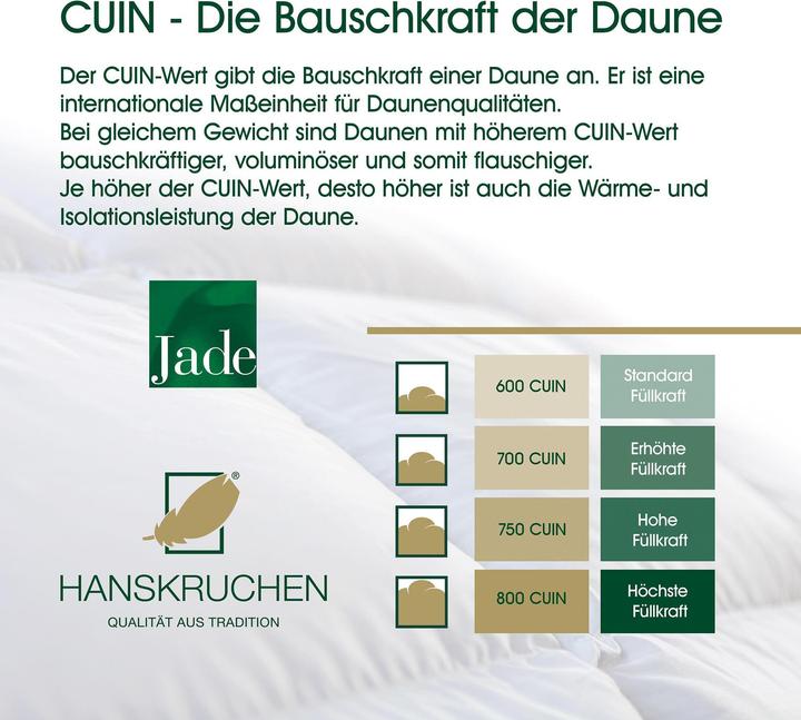 Produktbild Hanskruchen Jade (720 g, 135 x 200 cm)