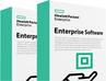 Produktbild HPE E StoreOnce Gen4 FC Card LTU