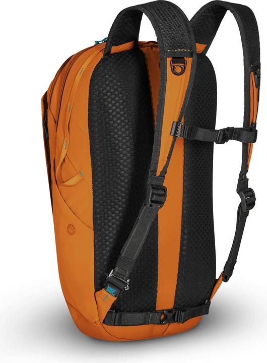 Actual product image Pacsafe Eco (25 l)
