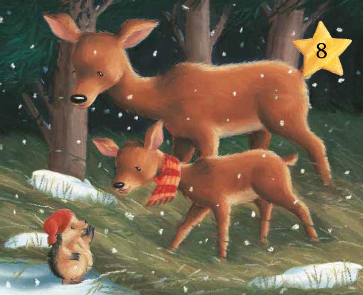 Actual product image The little hedgehog and the beautiful presents (German, Tina Macnaughton M Christina Butler, 2022)